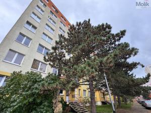 Prodej bytu 3+1, Most, Kpt. Jaroše, 60 m2