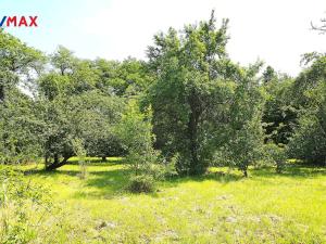 Prodej pozemku pro bydlení, Nové Město nad Metují - Krčín, Na Strážnici, 3112 m2