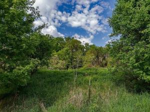 Prodej pozemku pro bydlení, Veliny, 3712 m2