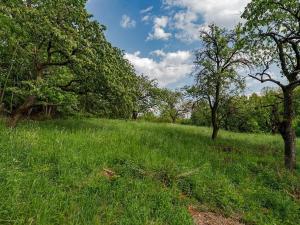 Prodej pozemku pro bydlení, Veliny, 3712 m2