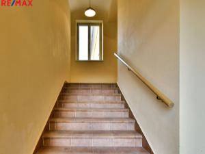 Pronájem bytu 1+kk, Opočno, Podzámčí, 35 m2