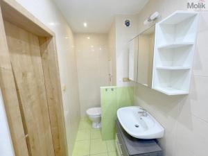 Pronájem bytu 2+1, Most, Petra Jilemnického, 55 m2