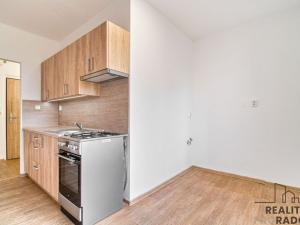 Pronájem bytu 1+1, Ostrava - Hrabůvka, U Haldy, 39 m2