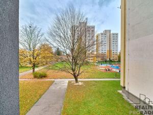 Pronájem bytu 1+1, Ostrava - Hrabůvka, U Haldy, 39 m2