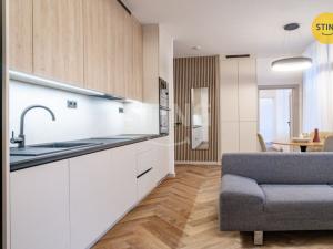 Pronájem bytu 2+kk, Ostrava, Nádražní, 47 m2