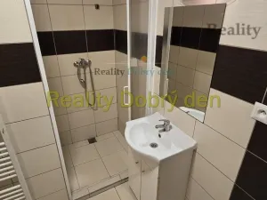 Pronájem bytu 1+kk, Opava, Hany Kvapilové, 30 m2