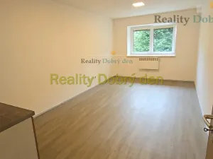 Pronájem bytu 1+kk, Opava, Hany Kvapilové, 30 m2