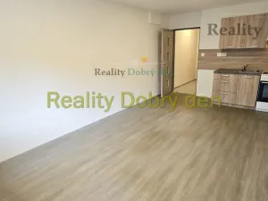 Pronájem bytu 1+kk, Opava, Hany Kvapilové, 30 m2