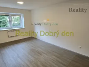 Pronájem bytu 1+kk, Opava, Hany Kvapilové, 30 m2