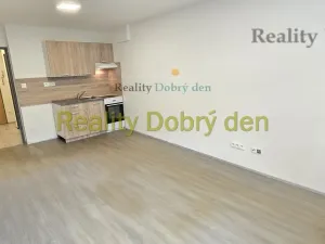 Pronájem bytu 1+kk, Opava, Hany Kvapilové, 30 m2