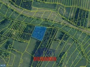 Prodej lesa, Budětice - Vlkonice, 32746 m2