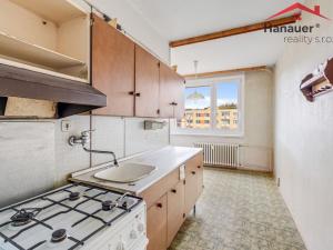 Prodej bytu 2+1, Ústí nad Labem - Severní Terasa, Šípková, 61 m2