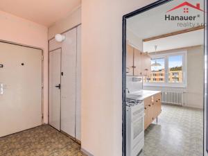 Prodej bytu 2+1, Ústí nad Labem - Severní Terasa, Šípková, 61 m2