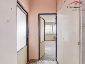 Prodej bytu 2+1, Ústí nad Labem - Severní Terasa, Šípková, 61 m2