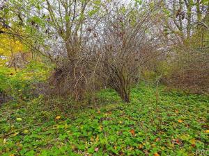 Prodej rodinného domu, Uhřice, 60 m2