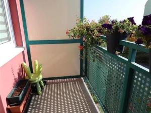 Pronájem bytu 1+kk, Brno - Líšeň, Molákova, 35 m2