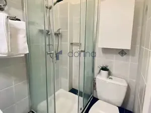 Pronájem bytu 2+kk, Praha, Lucemburská, 50 m2