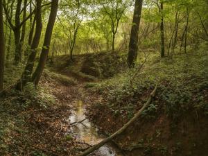 Prodej zahrady, Újezdec, 1891 m2