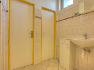 Prodej obchodního prostoru, Studenec, 265 m2