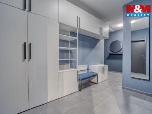 Pronájem bytu 2+kk, Plzeň - Újezd, Rubínová, 56 m2