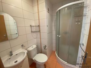 Pronájem bytu 3+1, Bystřice pod Hostýnem, Bělidla, 66 m2