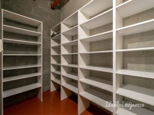 Pronájem bytu 2+kk, Praha - Žižkov, Hartigova, 58 m2