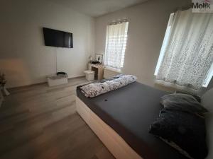 Prodej rodinného domu, Modlany - Věšťany, 268 m2