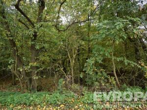 Prodej chalupy, Samopše - Mrchojedy, 71 m2