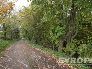 Prodej chalupy, Samopše - Mrchojedy, 71 m2