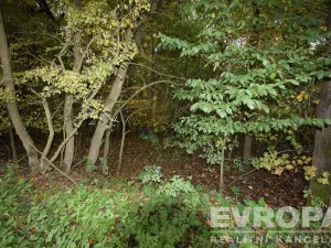 Prodej chalupy, Samopše - Mrchojedy, 71 m2