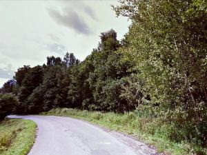 Prodej lesa, Dubnice, 2000 m2