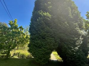 Prodej chaty, Orlová - Město, Dr. M. Tyrše, 28 m2