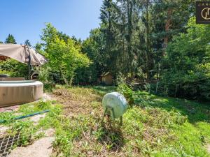 Prodej rodinného domu, Černé Voděrady, Borka, 51 m2