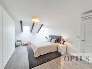 Pronájem bytu 6+kk a větší, Praha - Staré Město, Dušní, 218 m2