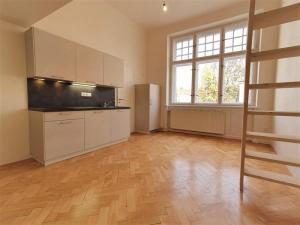 Pronájem bytu 1+kk, Praha, Svobodova, 30 m2