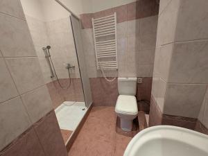 Pronájem bytu 2+kk, Karlovy Vary, Sokolovská, 41 m2