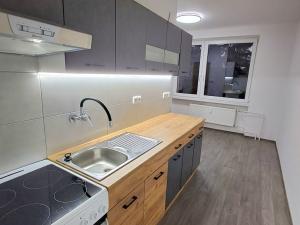 Pronájem bytu 2+1, Velké Opatovice, Hliníky, 55 m2