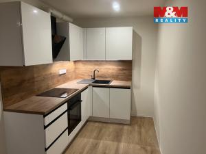 Pronájem bytu 1+kk, Brandýs nad Labem-Stará Boleslav - Brandýs nad Labem, 30 m2