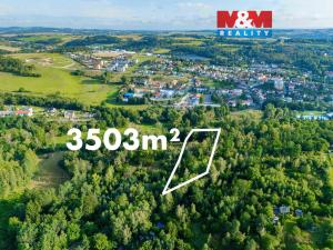 Prodej lesa, Velké Meziříčí, 3503 m2