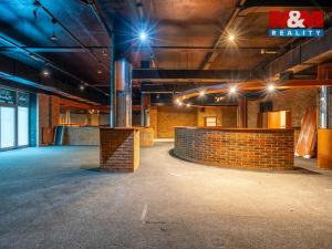 Prodej obchodního prostoru, Praha, Trnkovo náměstí, 324 m2
