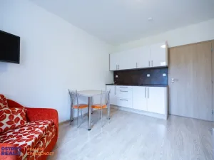 Prodej bytu 1+kk, Loučná nad Desnou, 23 m2