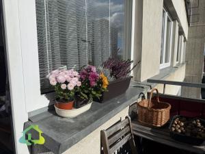 Prodej bytu 2+kk, Soběslav, Sídliště Svákov, 43 m2