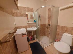 Pronájem bytu 1+kk, Tišnov, Klášterská, 30 m2