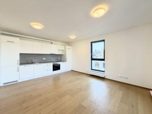 Pronájem bytu 2+kk, Liberec - Liberec I-Staré Město, Vítězná, 56 m2