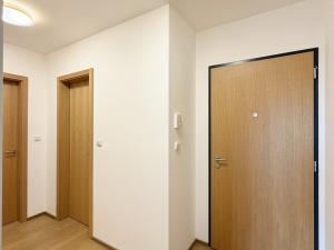 Pronájem bytu 2+kk, Liberec - Liberec I-Staré Město, Vítězná, 56 m2