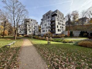 Pronájem bytu 2+kk, Liberec - Liberec I-Staré Město, Vítězná, 56 m2