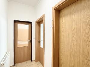 Pronájem bytu 2+1, Liberec - Liberec II-Nové Město, U Věže, 60 m2