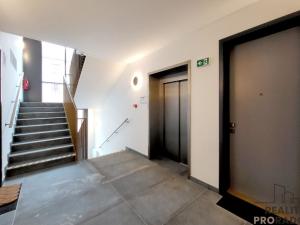 Pronájem bytu 2+kk, Brno - Veveří, Slovákova, 54 m2