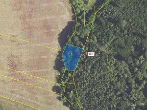 Dražba lesa, Sýkořice, 1242 m2