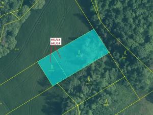 Dražba lesa, Rabí, 1958 m2